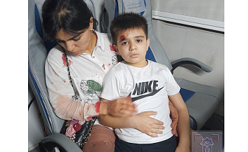 Комментарий по поводу брошенного камня в скоростной поезд и попавшему в голову 9 летнему пассажиру