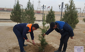 «Яшил макон»: Железнодорожники активно занимаются озеленением территорий